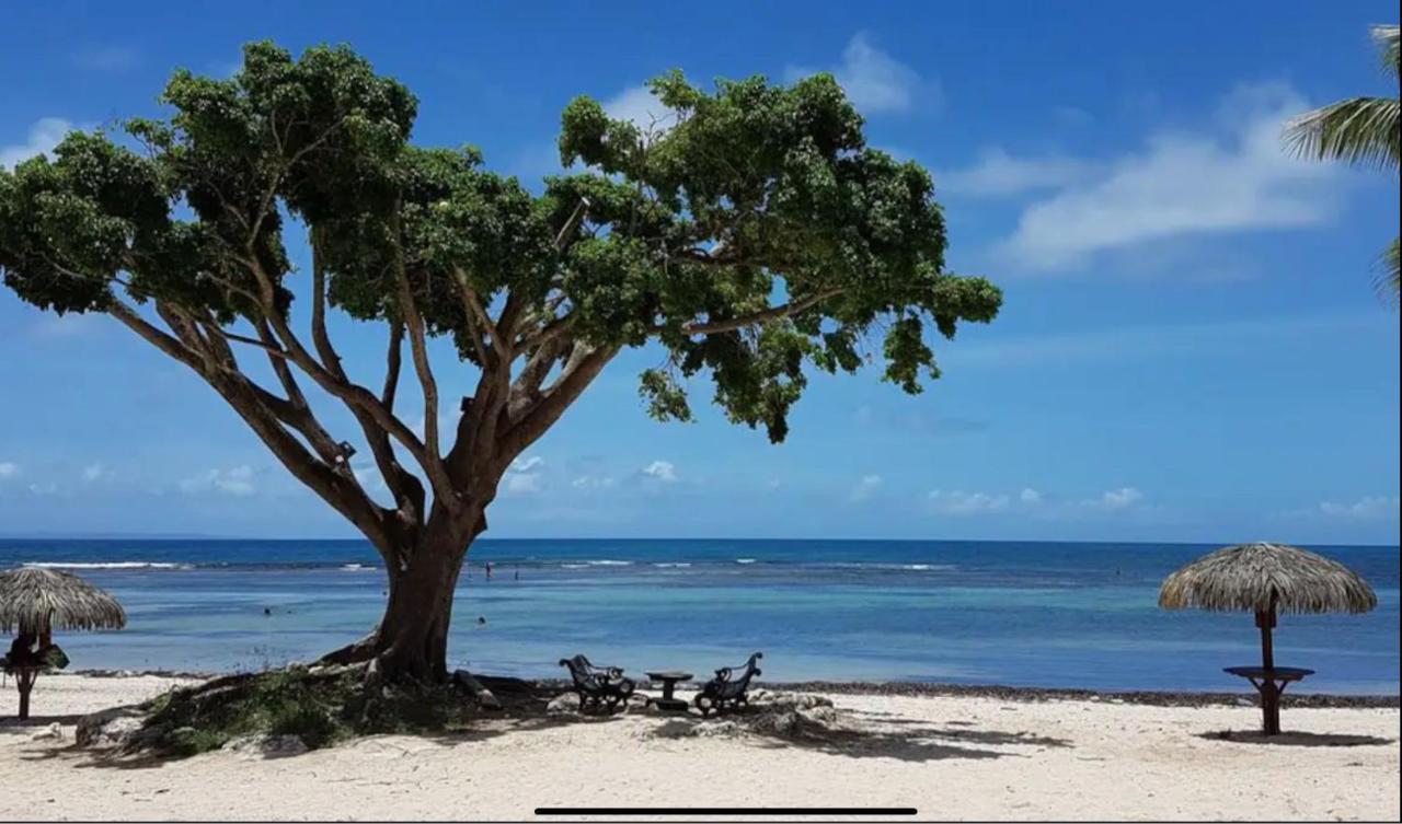 Le 35 Anse Des Rochers Saint-Francois Exteriör bild